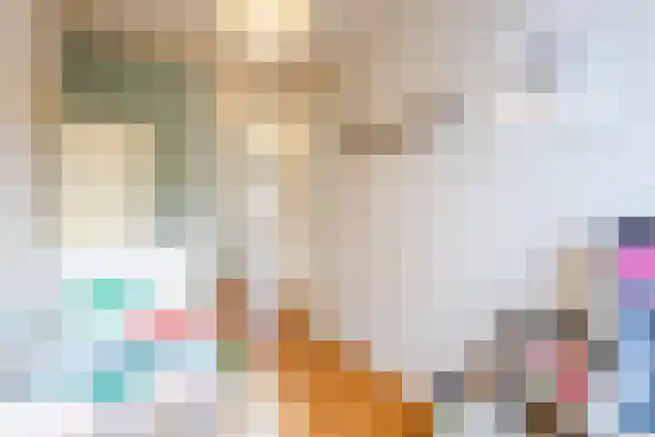 Tjeerdsraklaan 74 Utrecht thumbnail 31
