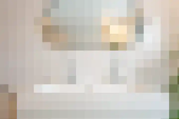 Tjeerdsraklaan 74 Utrecht thumbnail 44