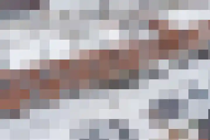 Tjeerdsraklaan 74 Utrecht thumbnail 65