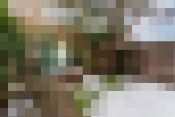 Tjeerdsraklaan 74 Utrecht thumbnail 9