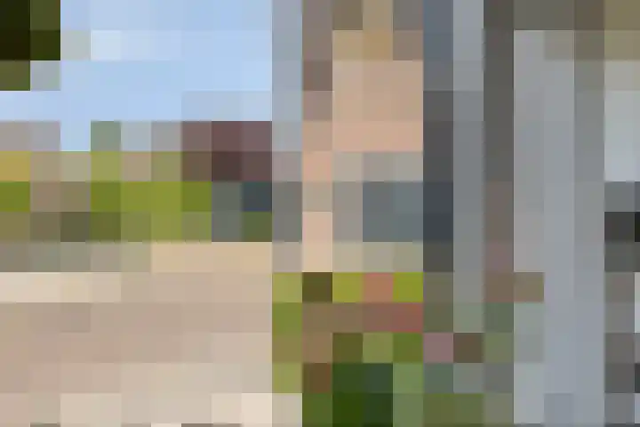 Tjepkemastraat 22 Heerenveen thumbnail 14