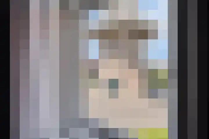 Tjepkemastraat 22 Heerenveen thumbnail 22