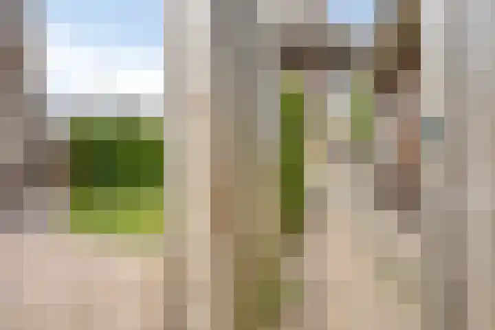 Tjepkemastraat 22 Heerenveen thumbnail 30