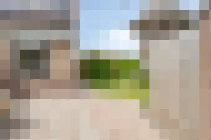 Tjepkemastraat 22 Heerenveen thumbnail 31
