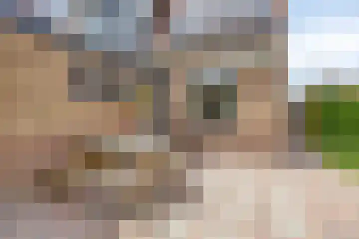 Tjepkemastraat 22 Heerenveen thumbnail 32
