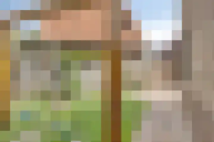 Tjepkemastraat 22 Heerenveen thumbnail 33