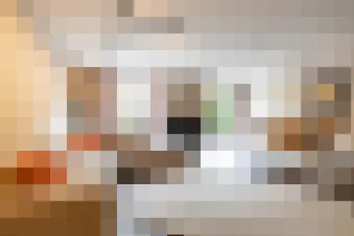 Tjerk Bolhuisstraat 11 Groningen thumbnail 11