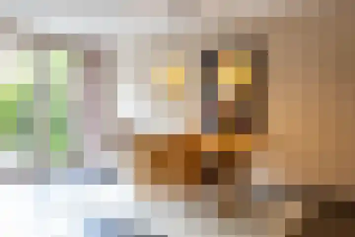 Tjerk Bolhuisstraat 11 Groningen thumbnail 13