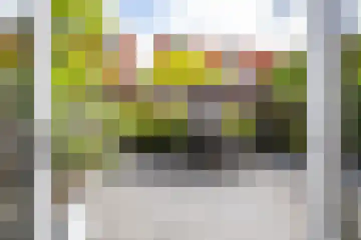 Tjerk Bolhuisstraat 11 Groningen thumbnail 16