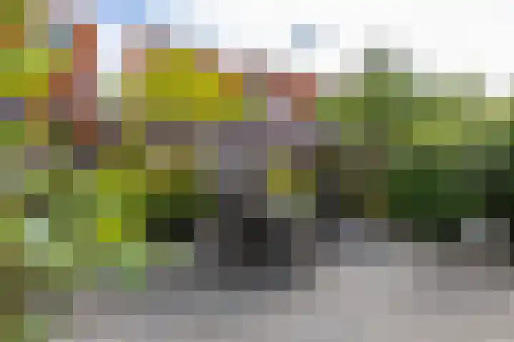 Tjerk Bolhuisstraat 11 Groningen thumbnail 17