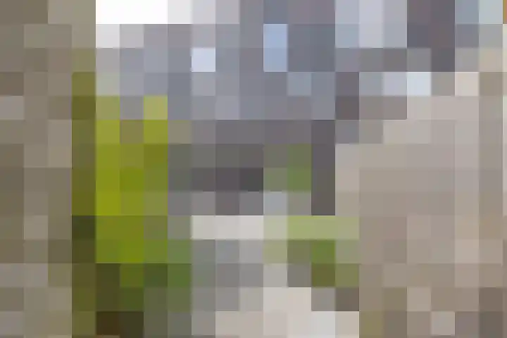 Tjerk Bolhuisstraat 11 Groningen thumbnail 18