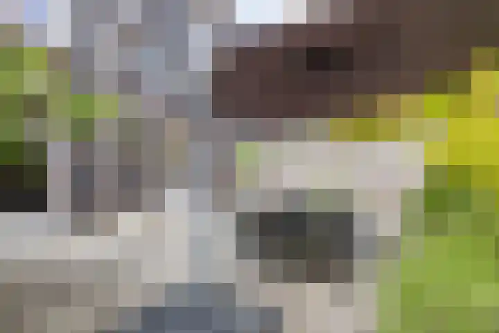 Tjerk Bolhuisstraat 11 Groningen thumbnail 19