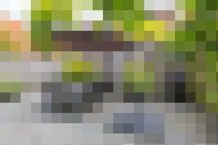 Tjerk Bolhuisstraat 11 Groningen thumbnail 20