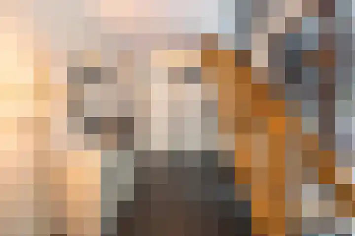 Tjerk Bolhuisstraat 11 Groningen thumbnail 21