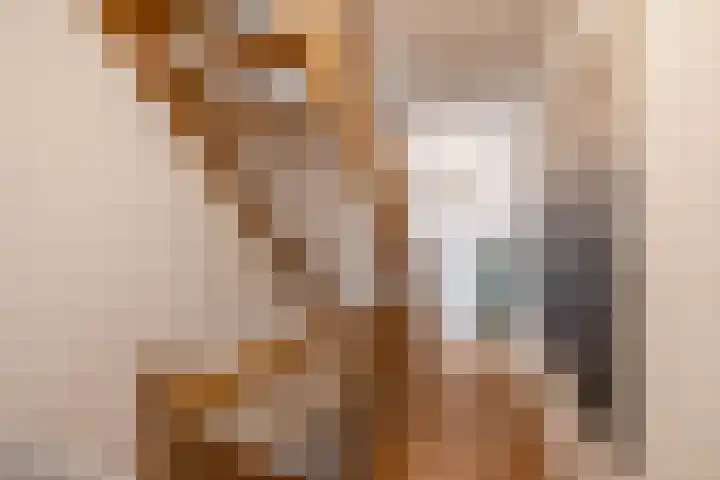 Tjerk Bolhuisstraat 11 Groningen thumbnail 22