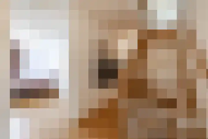 Tjerk Bolhuisstraat 11 Groningen thumbnail 26