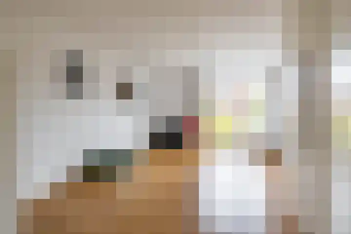 Tjerk Bolhuisstraat 11 Groningen thumbnail 31