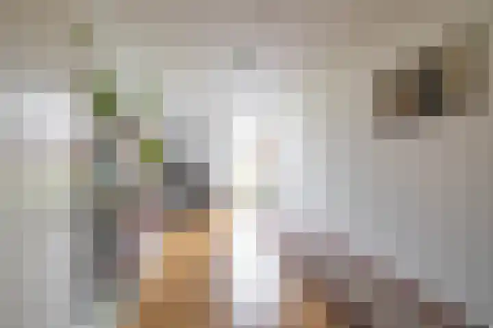 Tjerk Bolhuisstraat 11 Groningen thumbnail 32