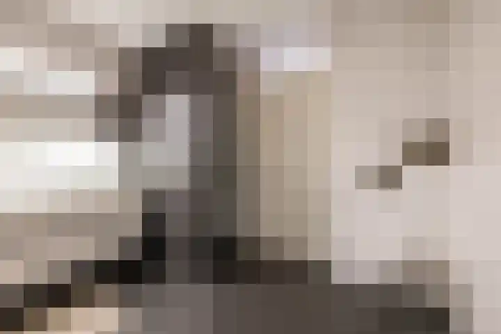 Tjerk Bolhuisstraat 11 Groningen thumbnail 35