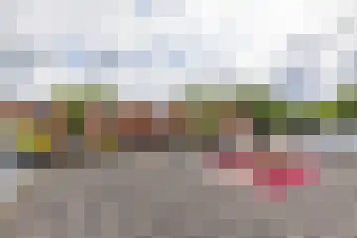 Tjerk Bolhuisstraat 11 Groningen thumbnail 38