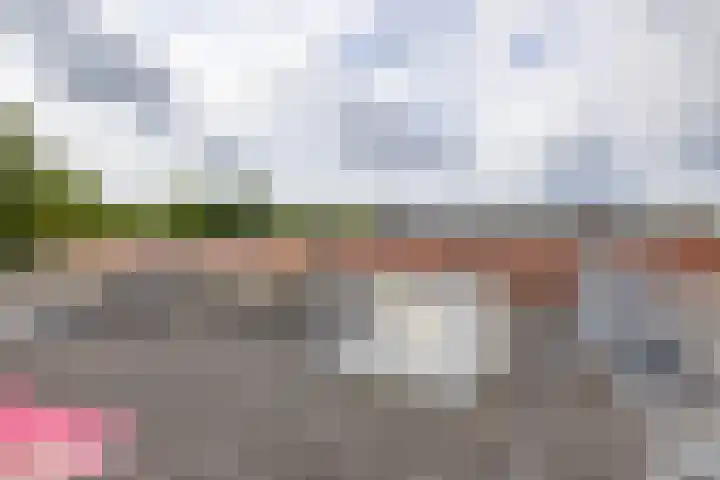 Tjerk Bolhuisstraat 11 Groningen thumbnail 39