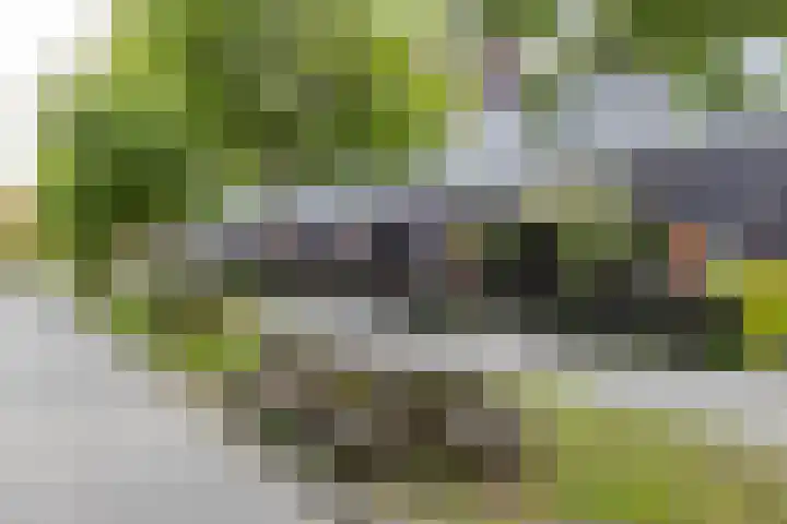 Tjerk Bolhuisstraat 11 Groningen thumbnail 42