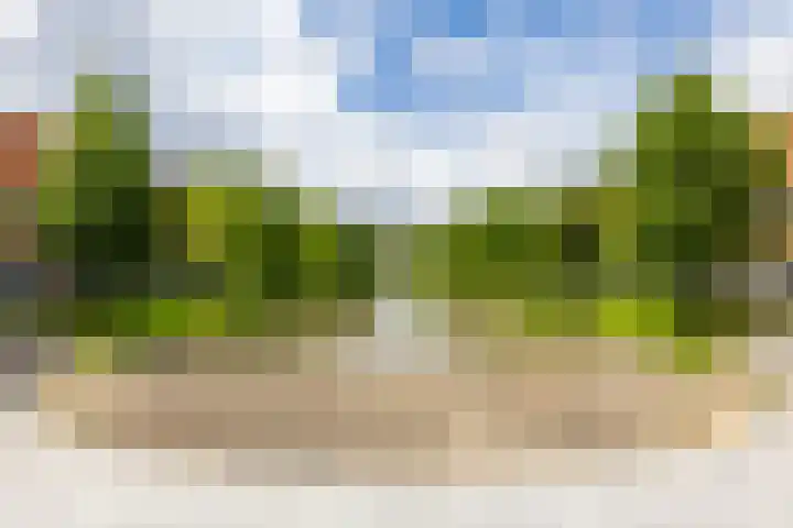 Tjerk Bolhuisstraat 11 Groningen thumbnail 45
