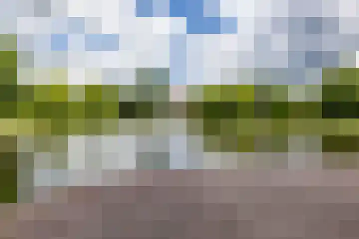 Tjerk Bolhuisstraat 11 Groningen thumbnail 47