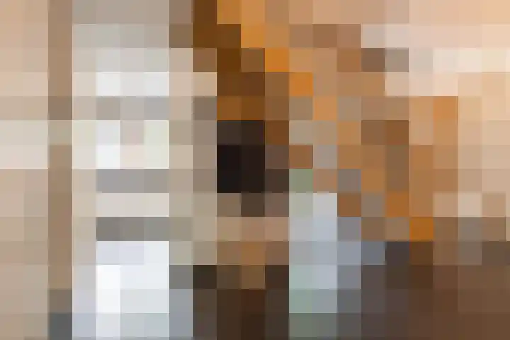 Tjerk Bolhuisstraat 11 Groningen thumbnail 6
