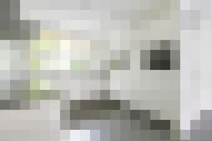 Tjerk Bolhuisstraat 18 Groningen thumbnail 15