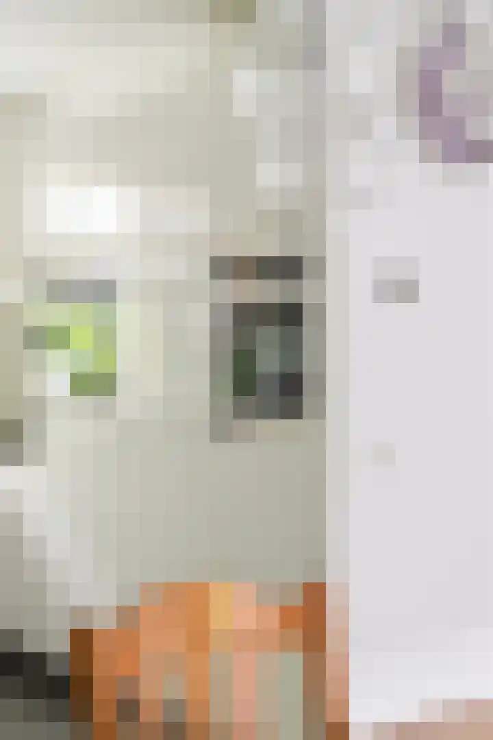 Tjerk Bolhuisstraat 18 Groningen thumbnail 16
