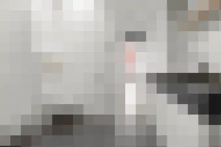 Tjerk Bolhuisstraat 18 Groningen thumbnail 26