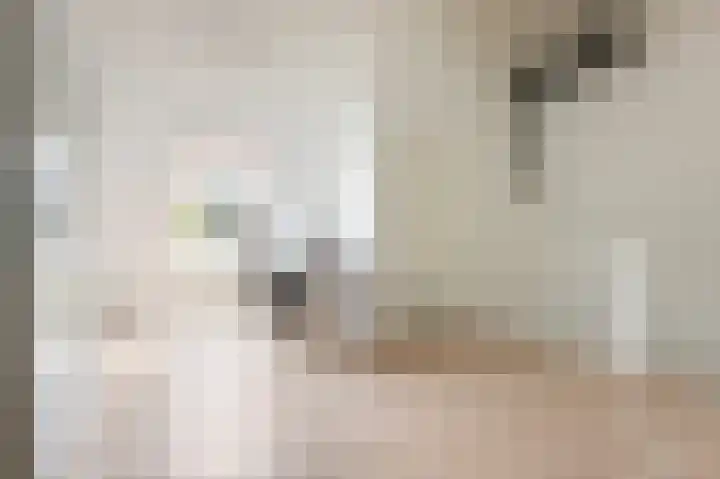 Tjerk Bolhuisstraat 18 Groningen thumbnail 30
