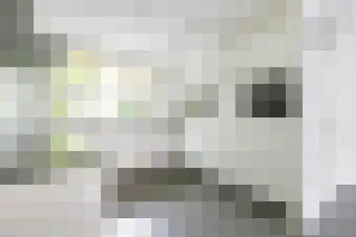 Tjerk Bolhuisstraat 18 Groningen thumbnail 4