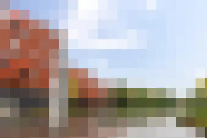 Tjerk Bolhuisstraat 18 Groningen thumbnail 40