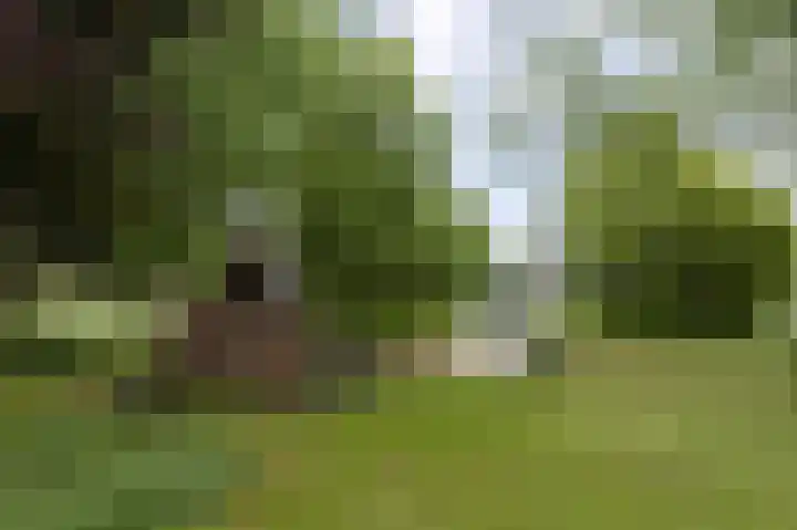 Tjerk Bolhuisstraat 18 Groningen thumbnail 41