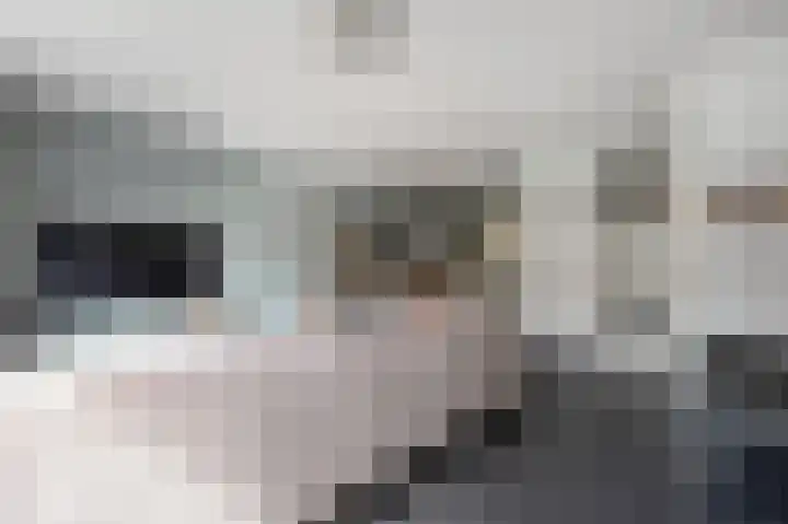 Tjerk Bolhuisstraat 20 Groningen thumbnail 12