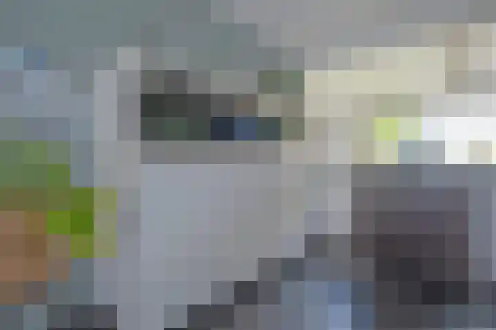 Tjerk Bolhuisstraat 20 Groningen thumbnail 17