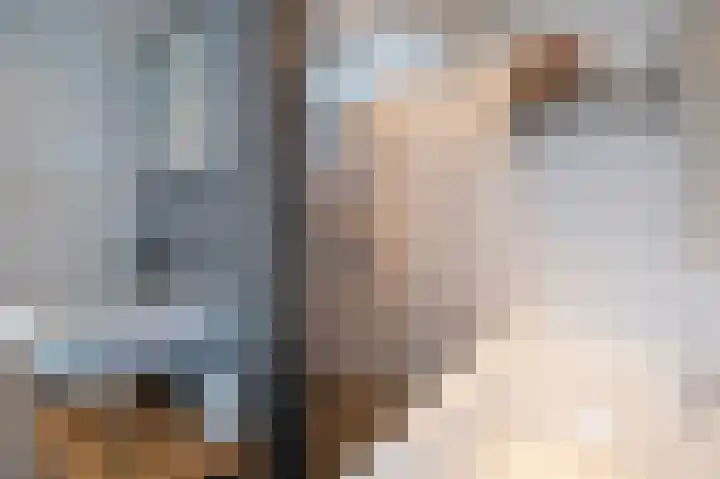 Tjerk Bolhuisstraat 20 Groningen thumbnail 24