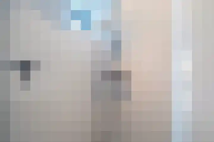 Tjerk Bolhuisstraat 20 Groningen thumbnail 25
