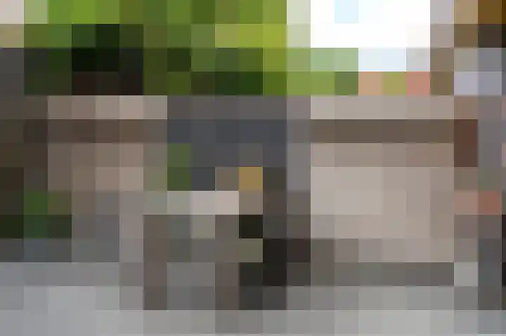Tjerk Bolhuisstraat 20 Groningen thumbnail 39