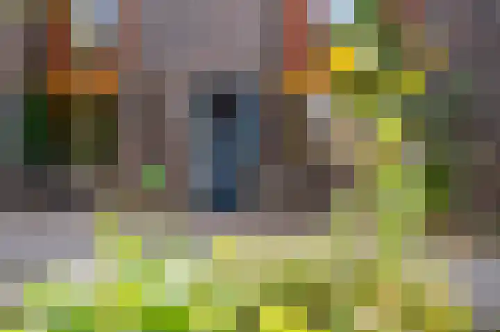 Tjerk Bolhuisstraat 20 Groningen thumbnail 4