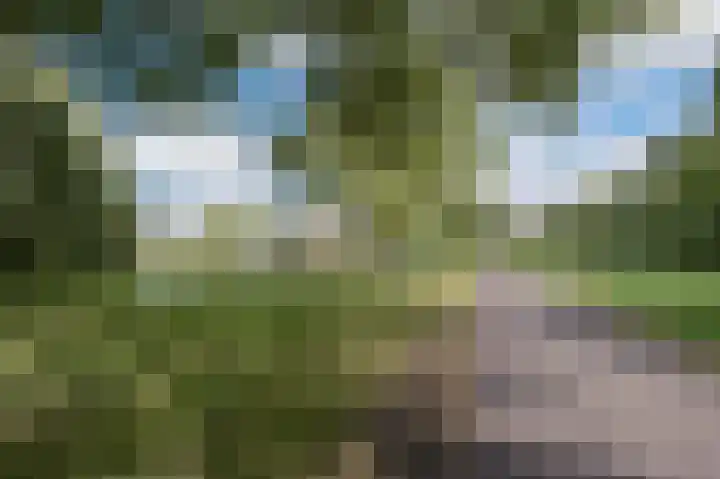 Tjerk Bolhuisstraat 20 Groningen thumbnail 48