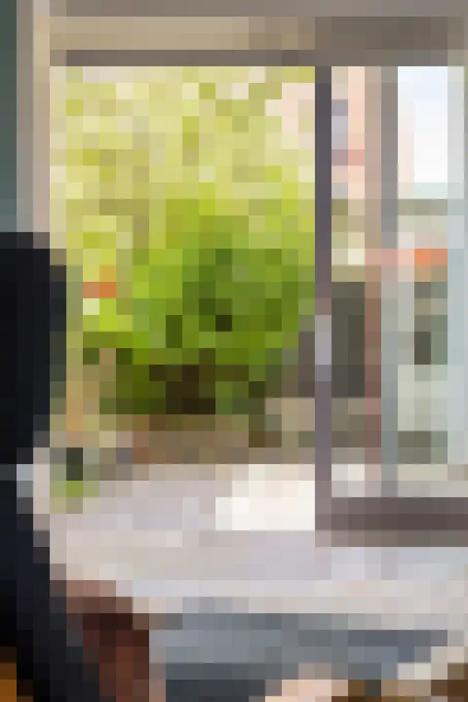 Tjerk Bolhuisstraat 30 Groningen thumbnail 14