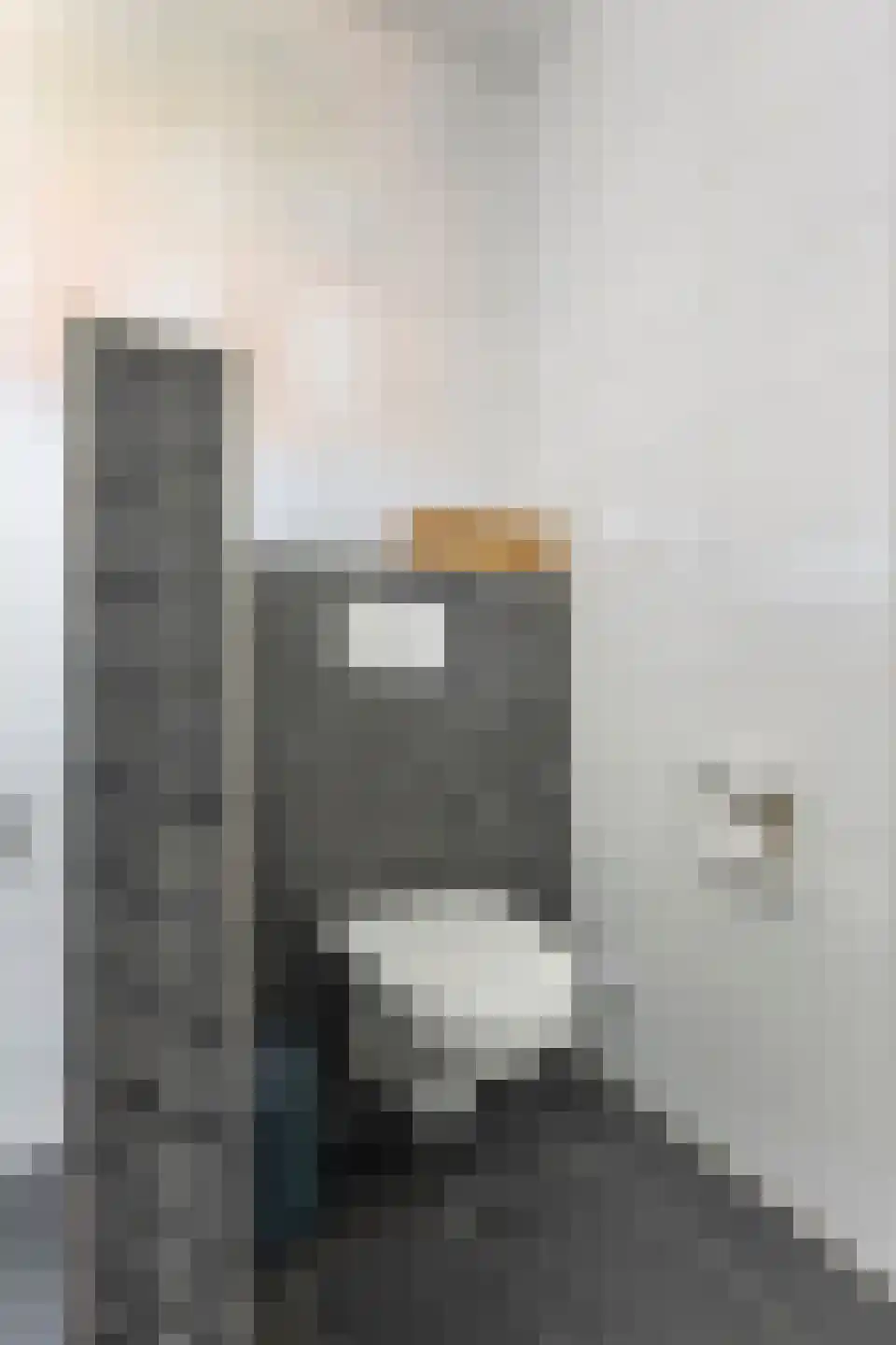 Tjerk Bolhuisstraat 30 Groningen thumbnail 30