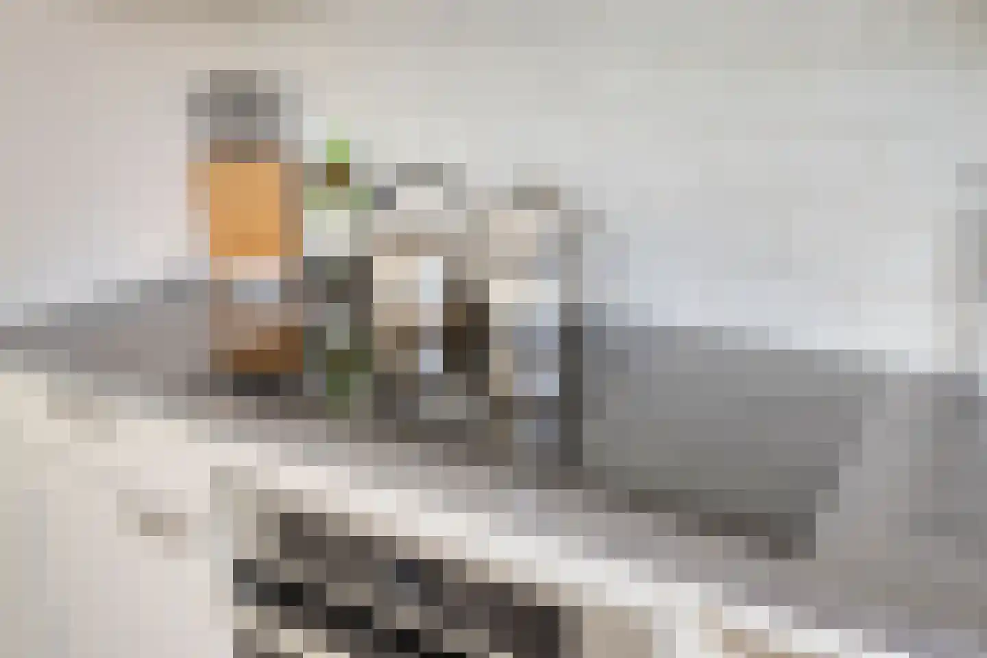 Tjerk de Vriesstraat 13 's-Hertogenbosch thumbnail 12
