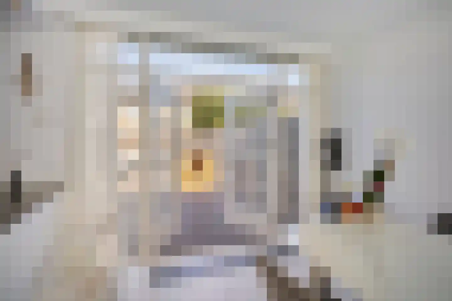 Tjerk de Vriesstraat 13 's-Hertogenbosch thumbnail 13