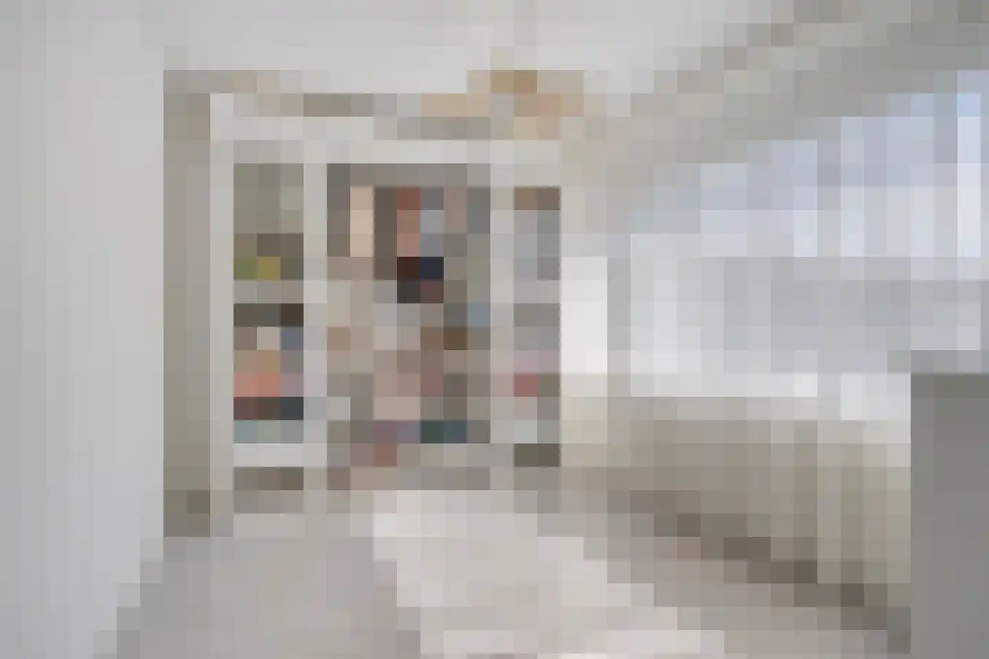 Tjerk de Vriesstraat 13 's-Hertogenbosch thumbnail 20