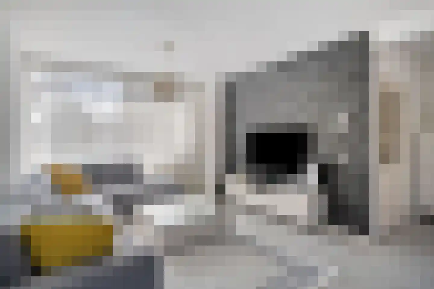 Tjerk de Vriesstraat 13 's-Hertogenbosch thumbnail 4