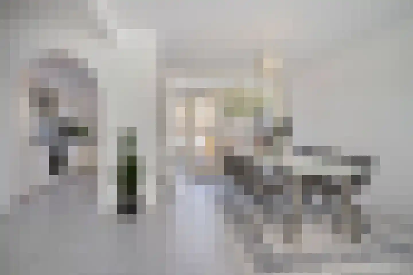Tjerk de Vriesstraat 13 's-Hertogenbosch thumbnail 8